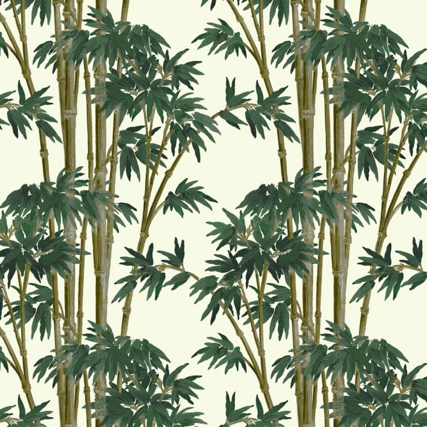 1-WA-BAM-DI-WHT-XXX - Bambusa Wallpaper - Antique-White - House of Hackney