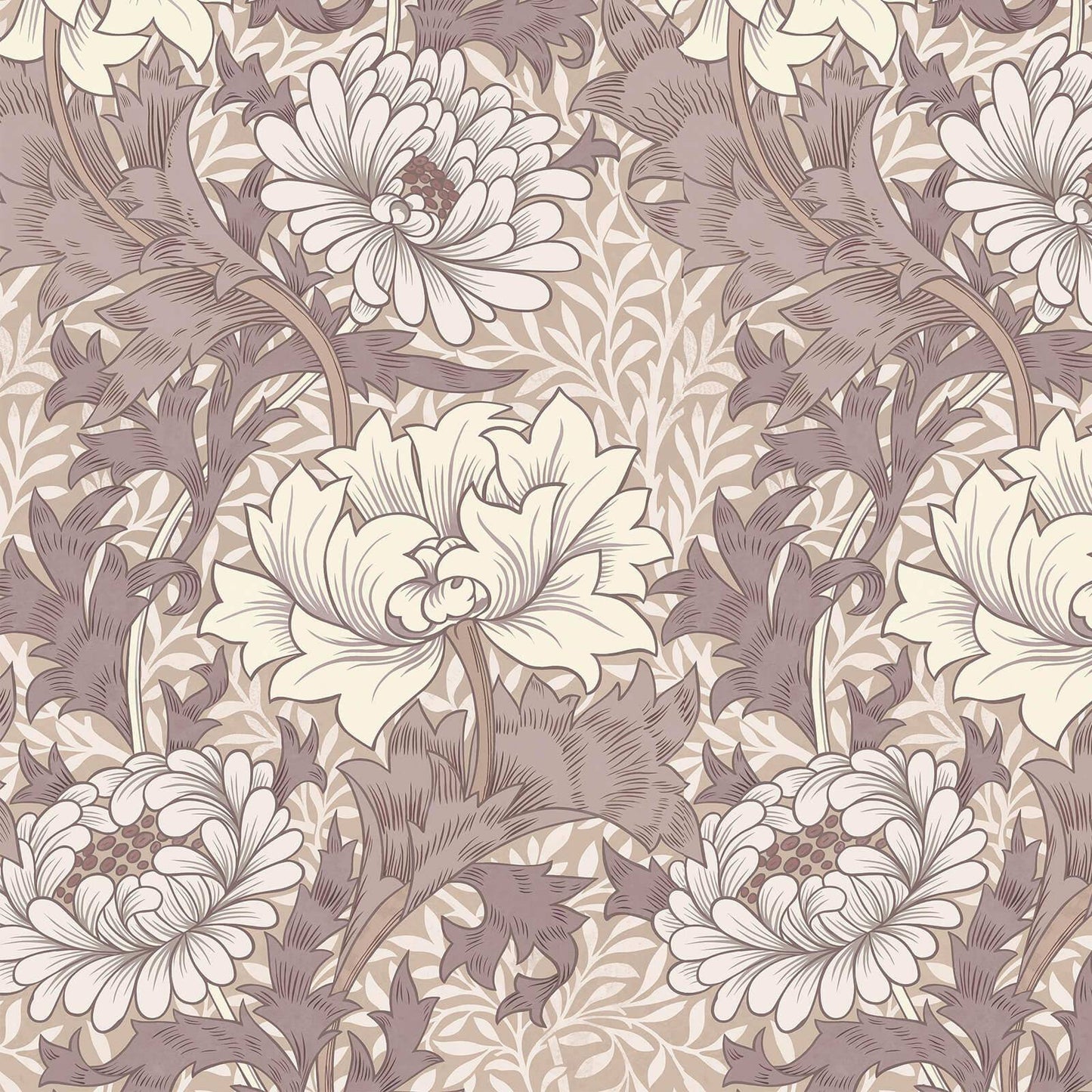 1-WA-CHM-DI-ASA-XXX - Chrysanthemum Magna Wallpaper - Astrantia - House of Hackney