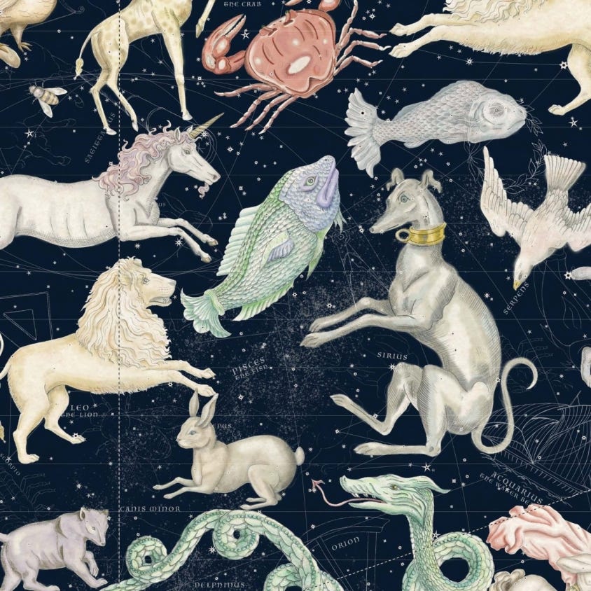 1-WA-COS-DI-MID-XXX - Cosmos Wallpaper - Midnight - House of Hackney