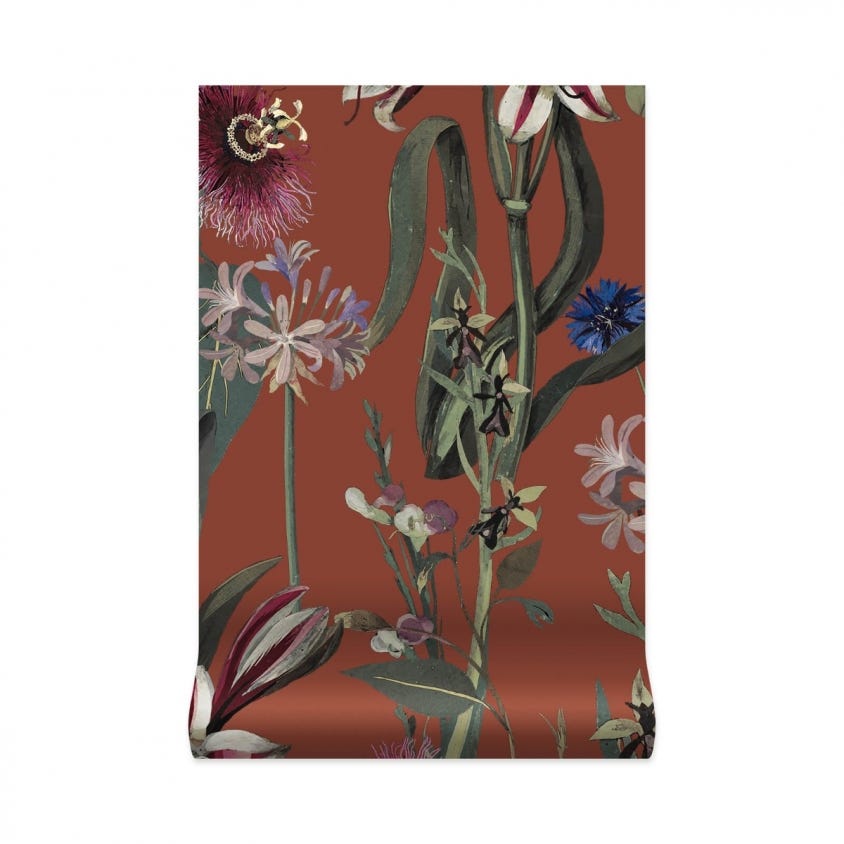 1-WA-DEL-DI-CLA-XXX - Flora Delanica Wallpaper - Clay - House of Hackney