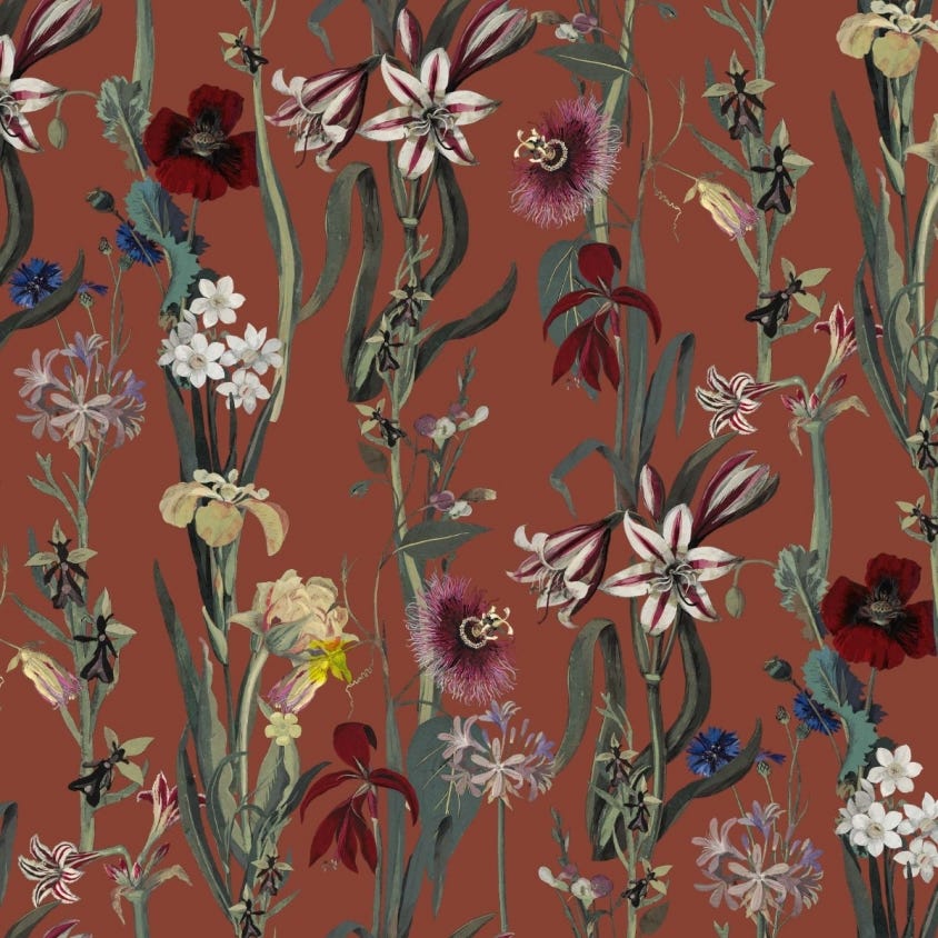 1-WA-DEL-DI-CLA-XXX - Flora Delanica Wallpaper - Clay - House of Hackney