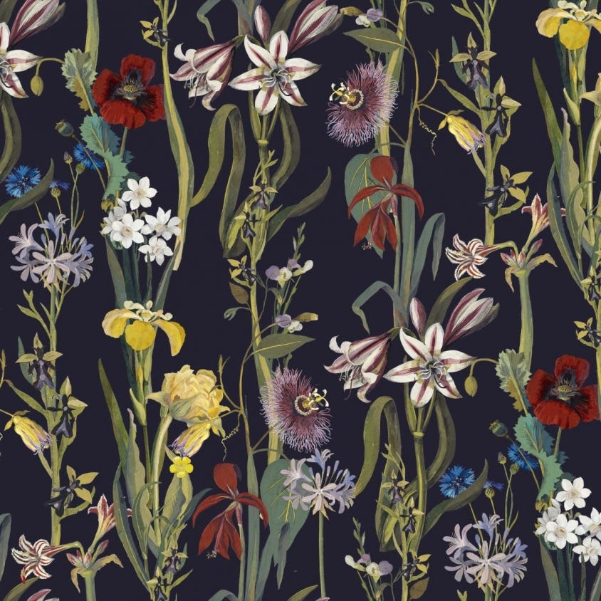 1-WA-DEL-DI-MID-XXX - Flora Delanica Wallpaper - Midnight - House of Hackney