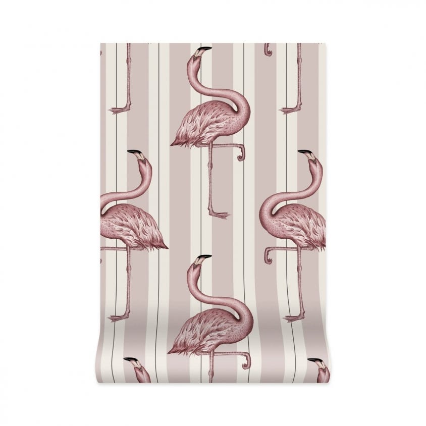 1-WA-FLA-DI-MPK-XXX - Flamboyance Wallpaper - Off-White & Macaroon-Pink - House of Hackney