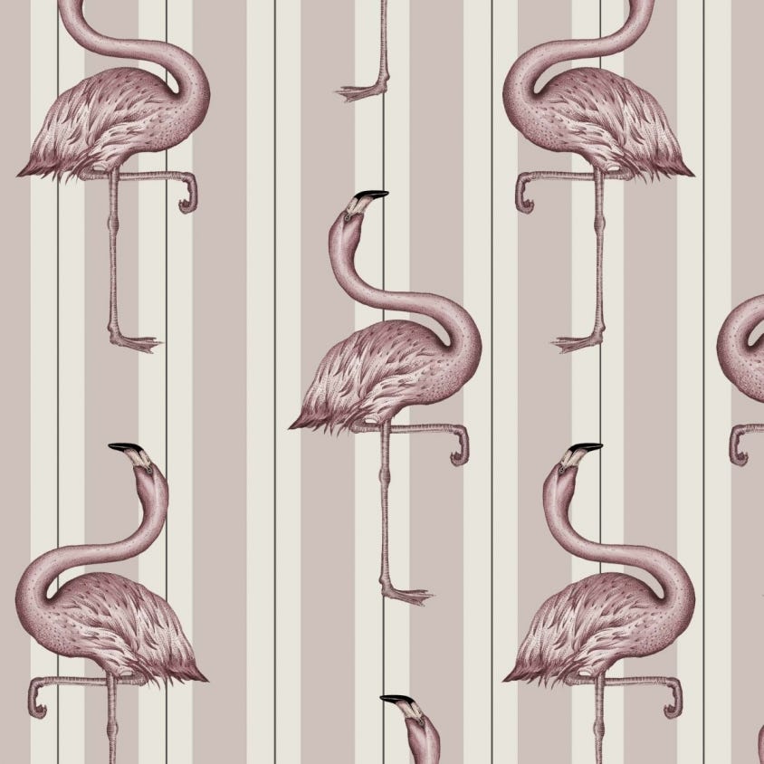 1-WA-FLA-DI-MPK-XXX - Flamboyance Wallpaper - Off-White & Macaroon-Pink - House of Hackney