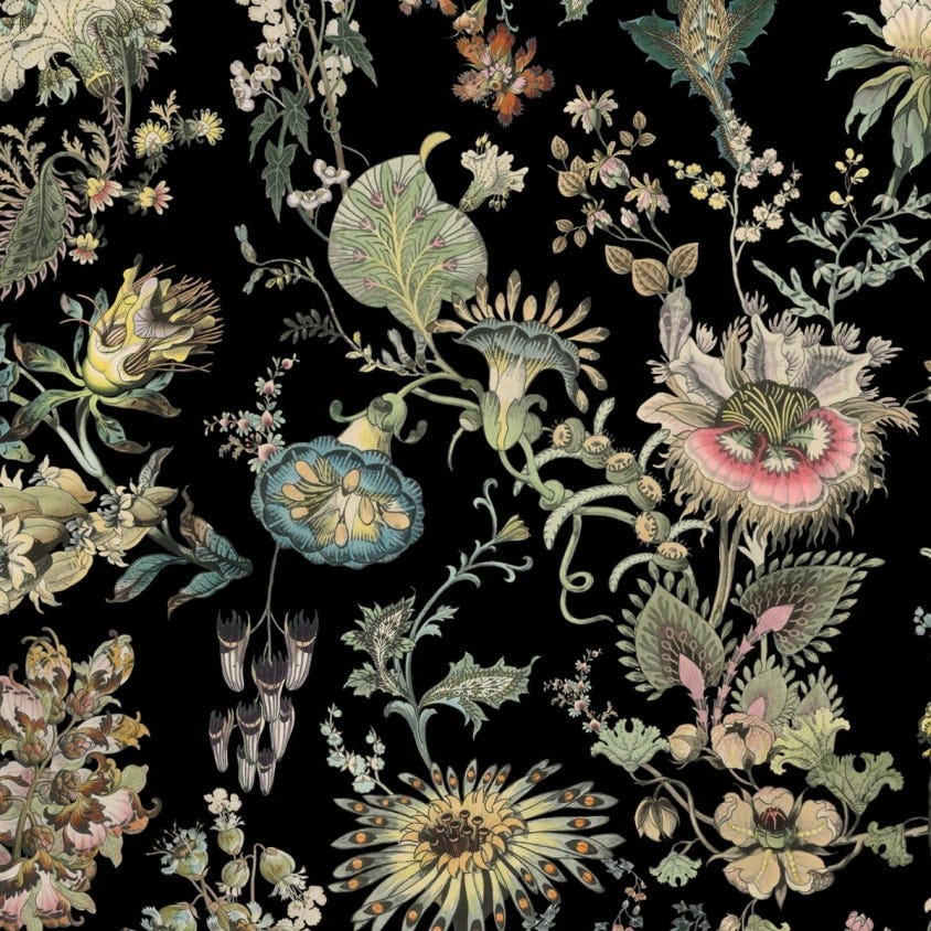 1-WA-FLF-DI-NOI-XXX - Flora Fantasia Wallpaper - Noir - House of Hackney