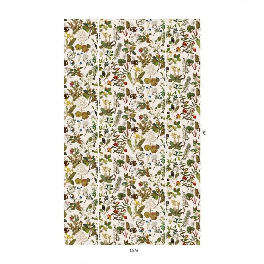 1-WA-HER-DI-ECR-XXX - Herbarium Wallpaper - Ecru - House of Hackney