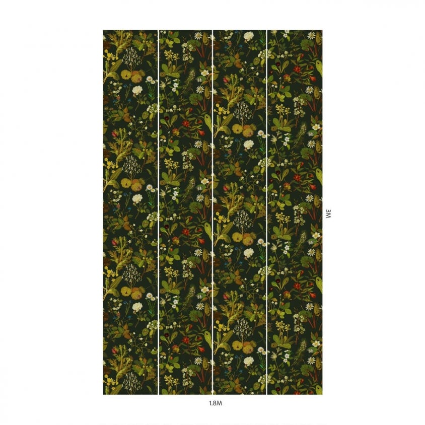 1-WA-HER-DI-FOR-XXX - Herbarium Wallpaper - Forest-Green - House of Hackney