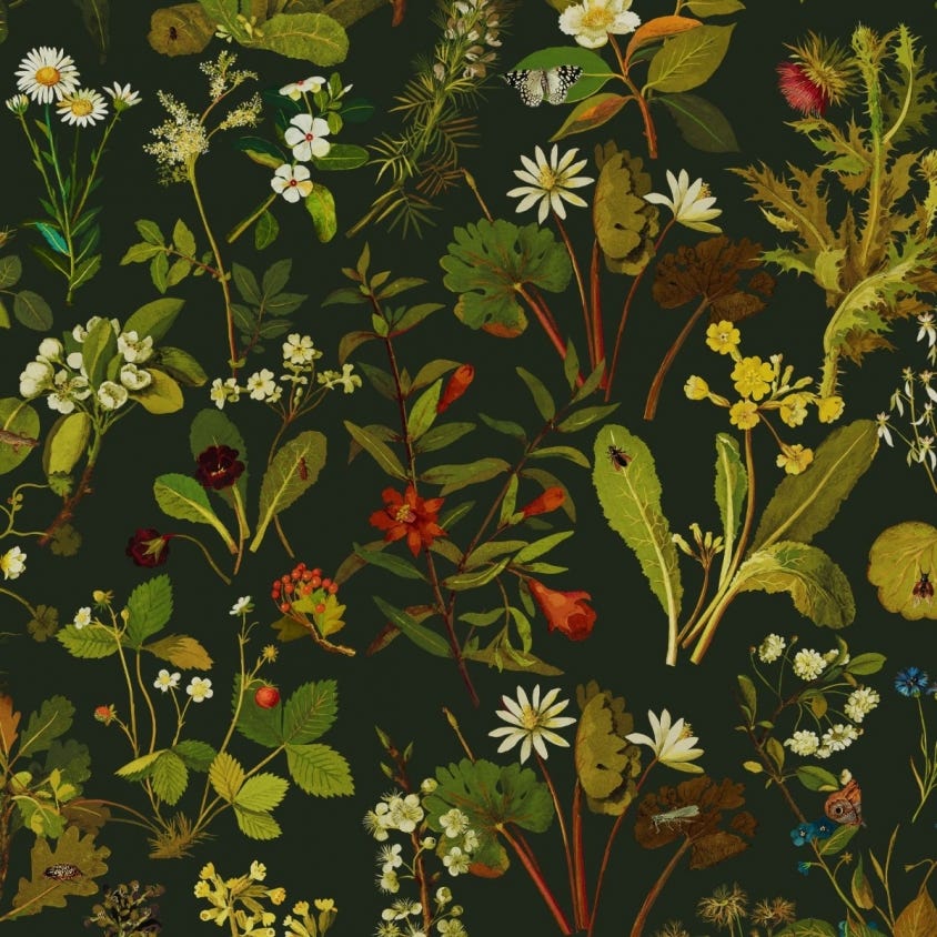 1-WA-HER-DI-FOR-XXX - Herbarium Wallpaper - Forest-Green - House of Hackney