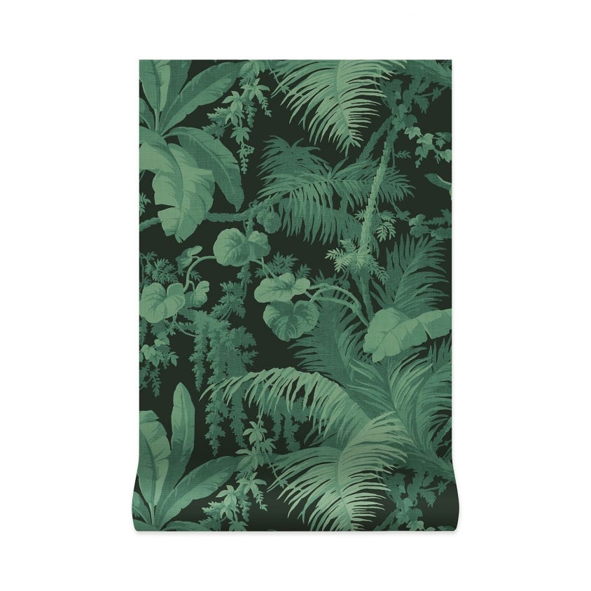 1-WA-PAM-DI-NOI-XXX - Pampas Wallpaper - Noir - House of Hackney