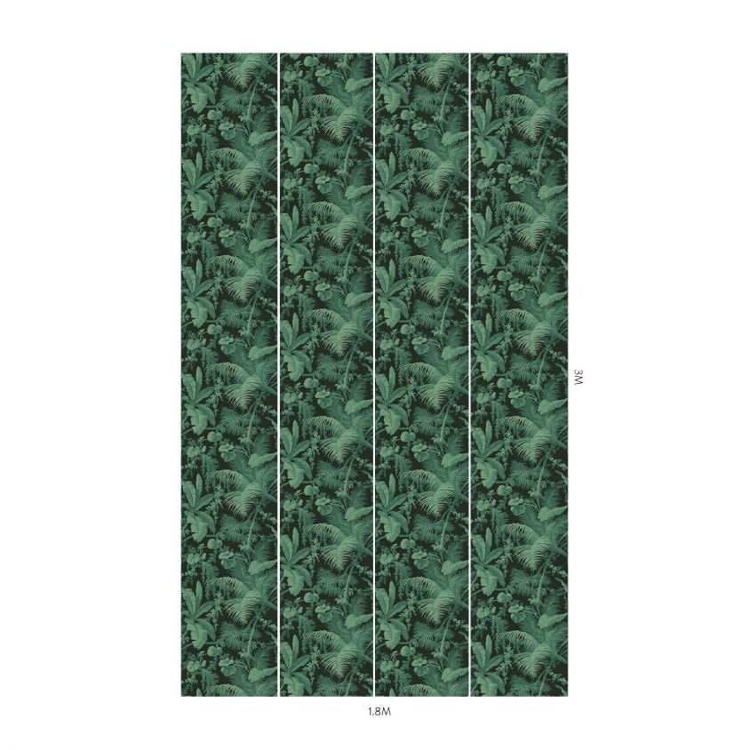1-WA-PAM-DI-NOI-XXX - Pampas Wallpaper - Noir - House of Hackney