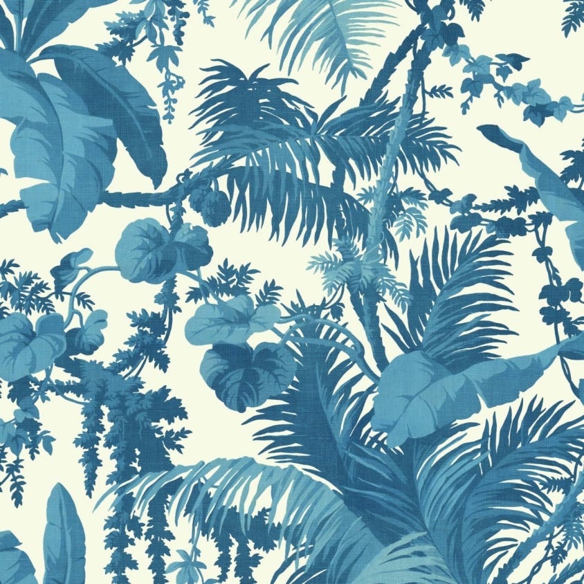 1-WA-PAM-DI-W&C-XXX - Pampas Wallpaper - Off-White & Cerulean - House of Hackney