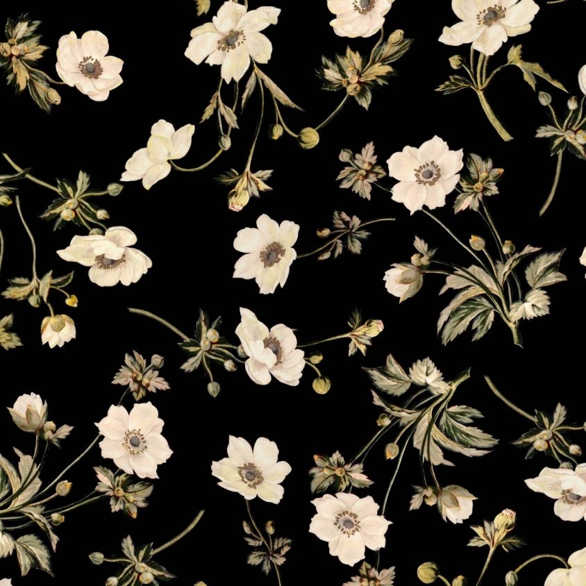 1-WA-POP-DI-BLK-XXX - Poppium Wallpaper - Ebony - House of Hackney