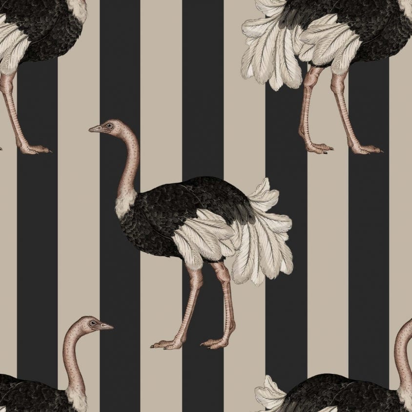 1-WA-PRI-DI-BLS-XXX - Pride Wallpaper - Clay & Off-Black - House of Hackney