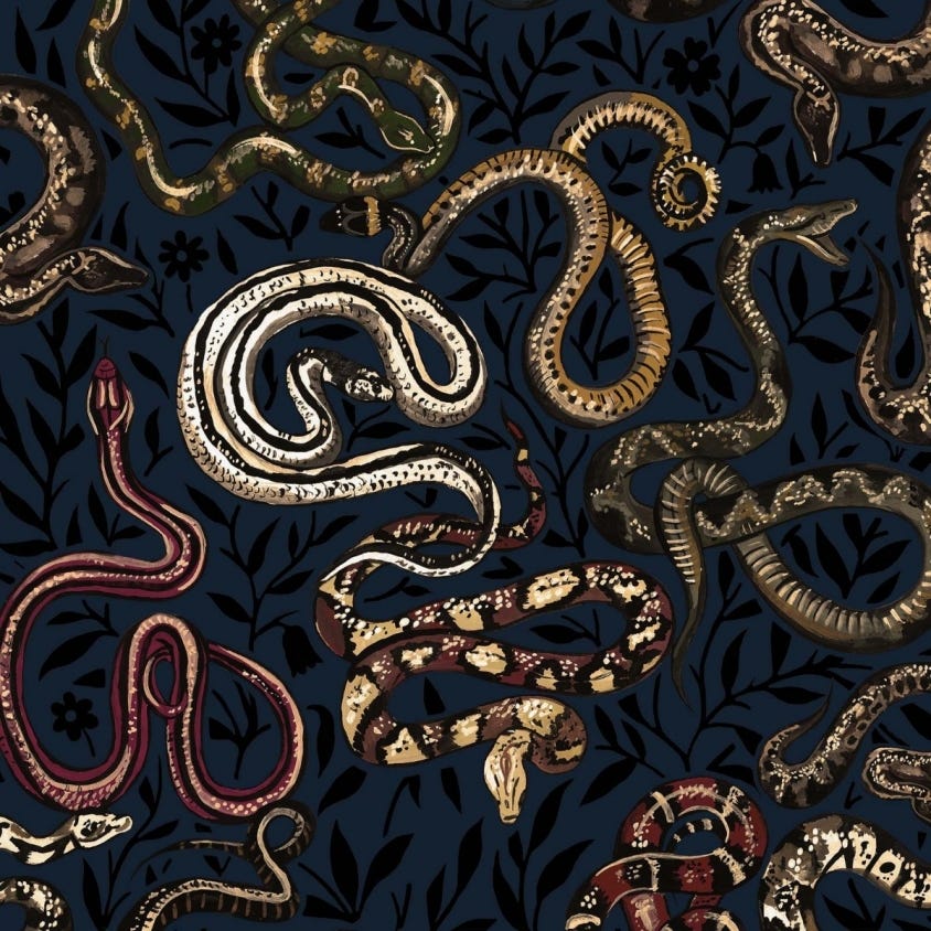 1-WA-SER-DI-BLK-XXX - Snakes And Adders Wallpaper - Black - House of Hackney
