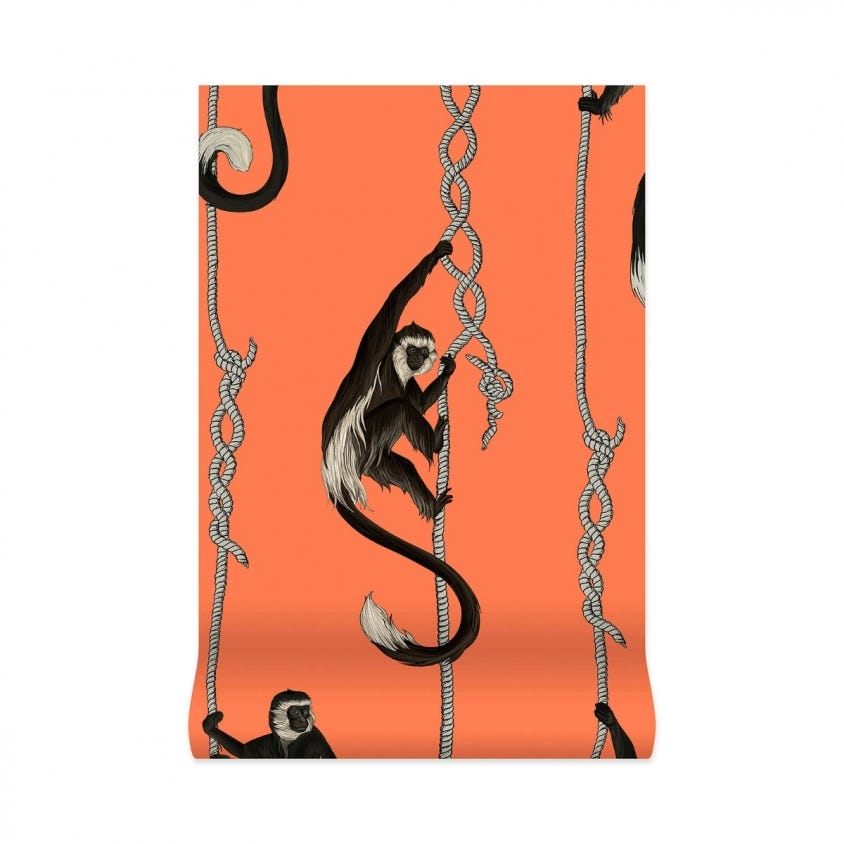 1-WA-TRO-DI-OGE-XXX - Troop Wallpaper - Salamander-Orange - House of Hackney