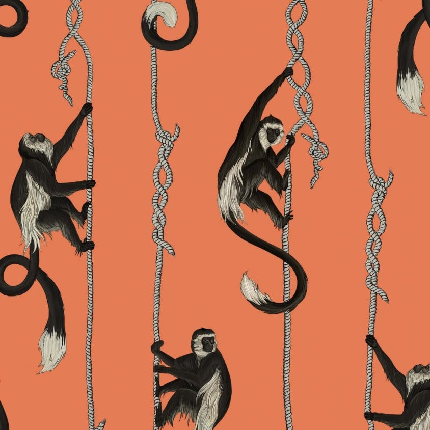 1-WA-TRO-DI-OGE-XXX - Troop Wallpaper - Salamander-Orange - House of Hackney