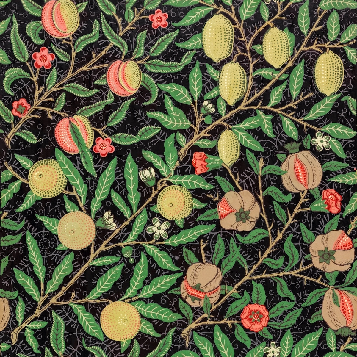1010 - Fruit Wallpaper - Amazon Night Green - Morris Collections