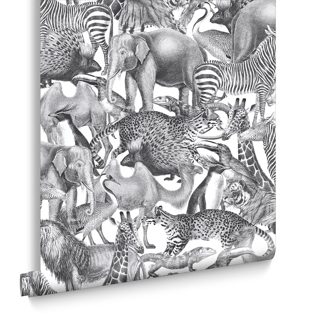 105474 - Kingdom Wallpaper - Zebra - Graham & Brown