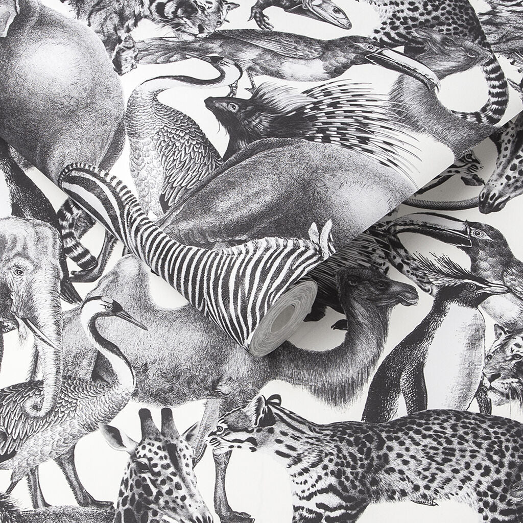 105474 - Kingdom Wallpaper - Zebra - Graham & Brown