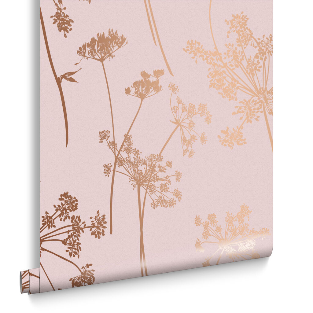 105580 - Anthriscus Wallpaper - Blush - Graham & Brown