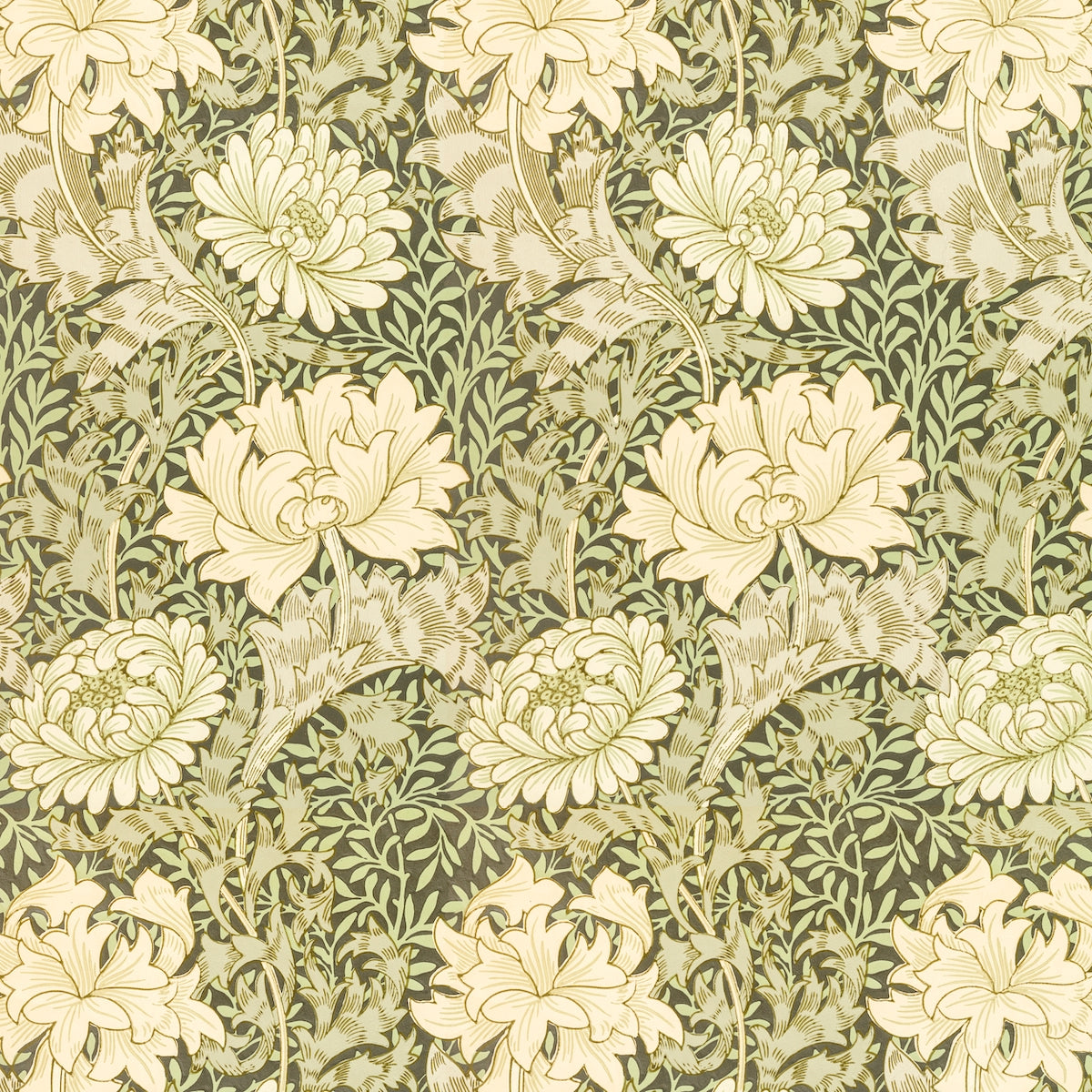 1066 - Chrysanthemum Wallpaper - Sage - Morris Collections