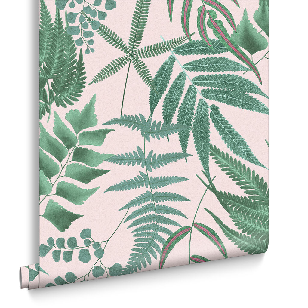 107878 - Midsummer Fern Wallpaper - Blush - Graham & Brown