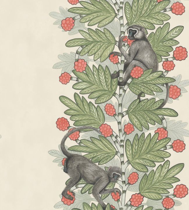 109/11051 - Acacia Wallpaper - Olive & Coral on Parchment - Cole & Son