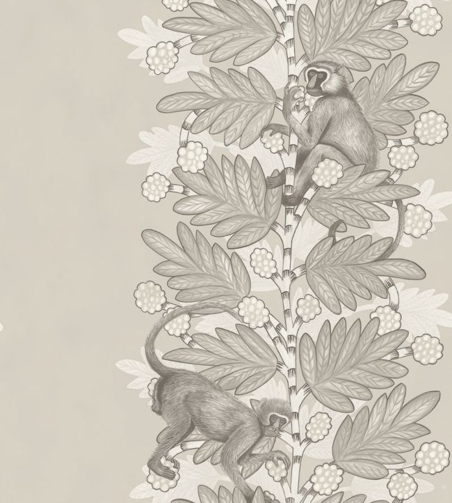 109/11054 - Acacia Wallpaper - Taupe & White on Stone - Cole & Son