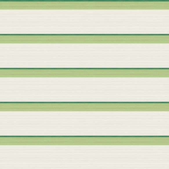 110/10047 - Jaspe Border Wallpaper - White, Green & Leaf Green - Cole & Son