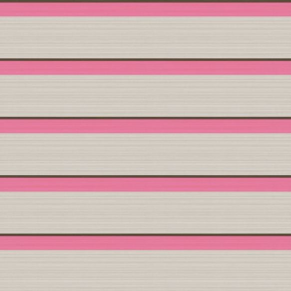 110/10050 - Jaspe Border Wallpaper - Charcoal & Fuschia - Cole & Son