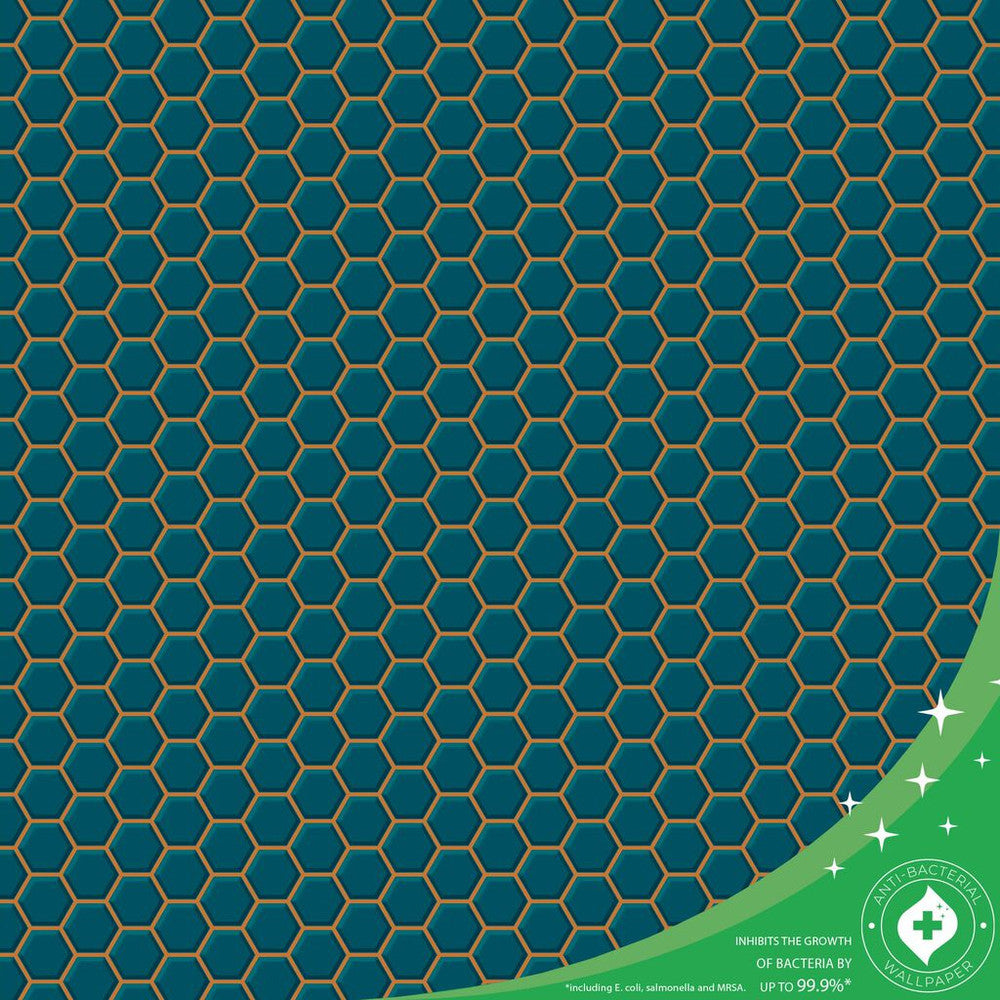 112651 - Hexagon Lattice Wallpaper - Teal - Contour