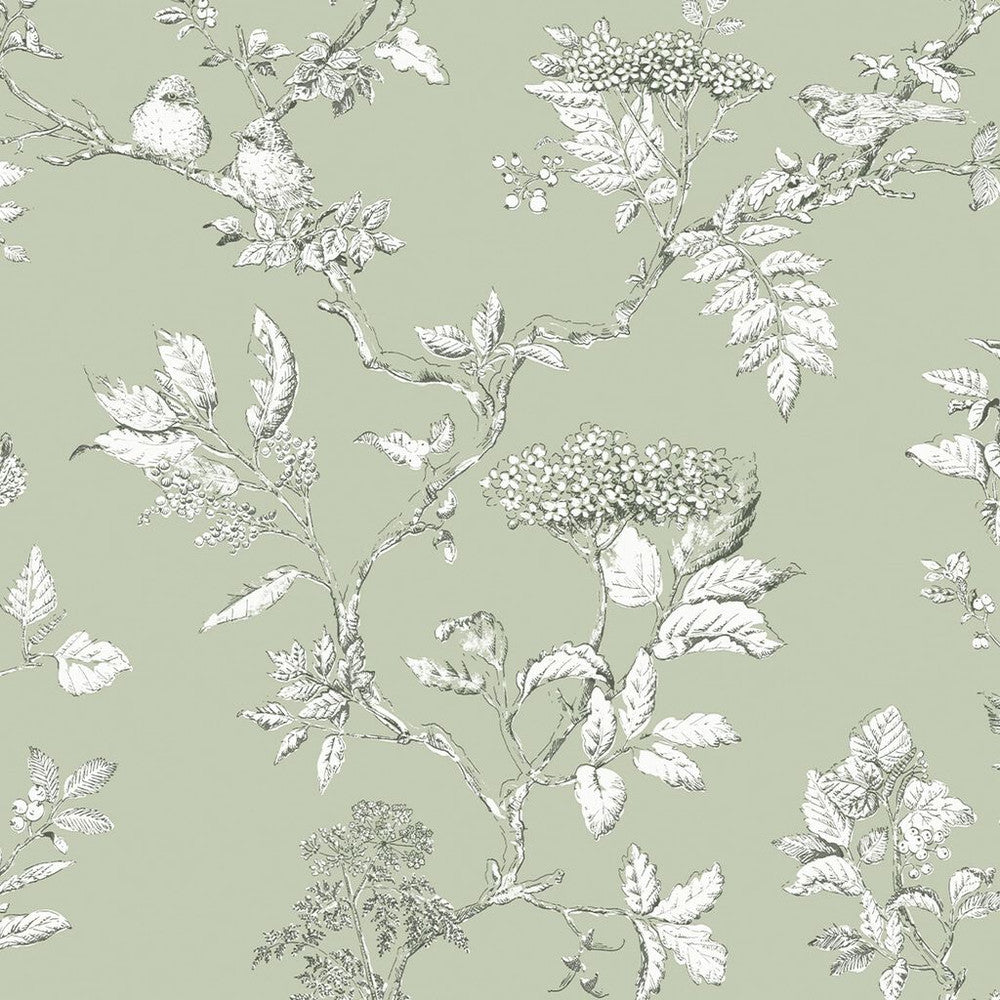 113348 - Elderwood Wallpaper - Sage - Laura Ashley