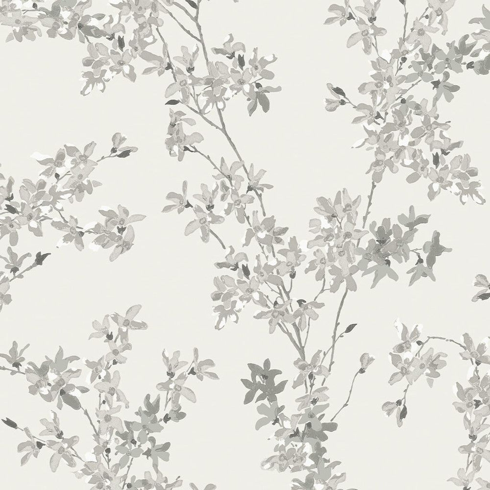 113349 - Forsythia Wallpaper - Steel - Laura Ashley