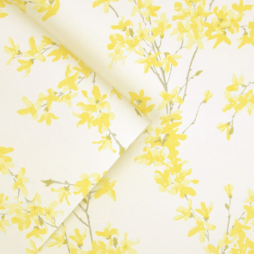 113350 - Forsythia Wallpaper - Sunshine - Laura Ashley