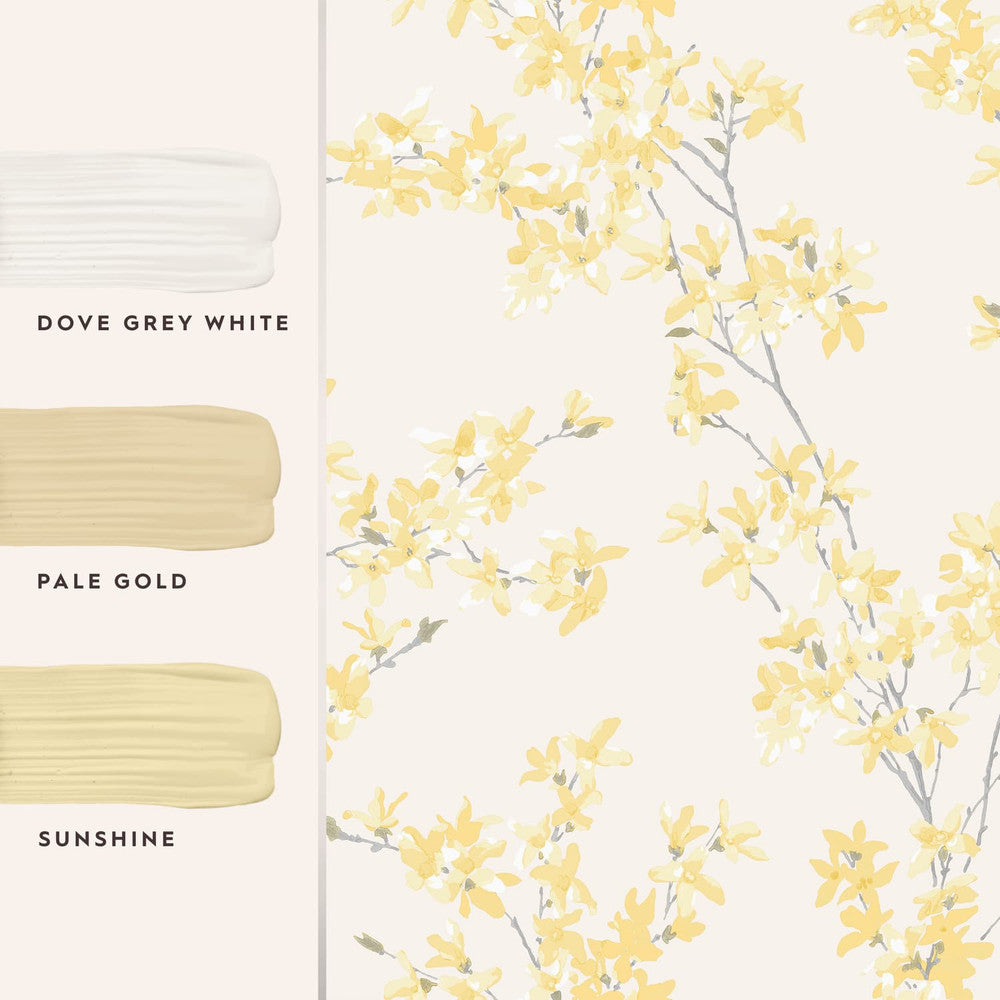 113350 - Forsythia Wallpaper - Sunshine - Laura Ashley