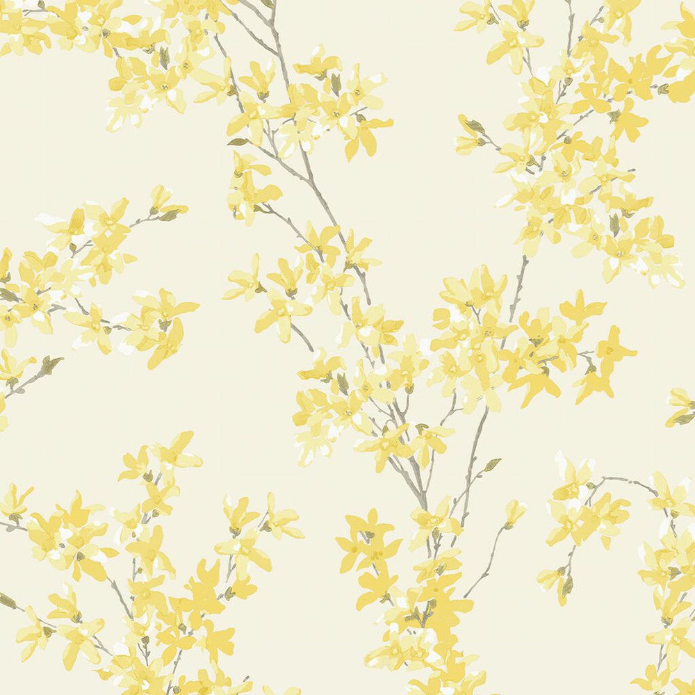 113350 - Forsythia Wallpaper - Sunshine - Laura Ashley