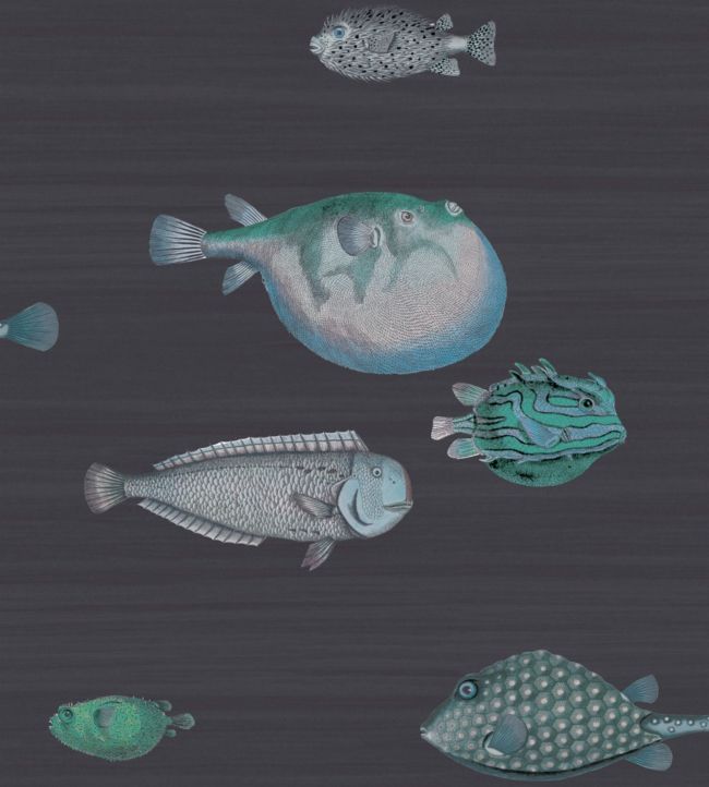 114/16032 - Acquario Wallpaper - Ink - Cole & Son