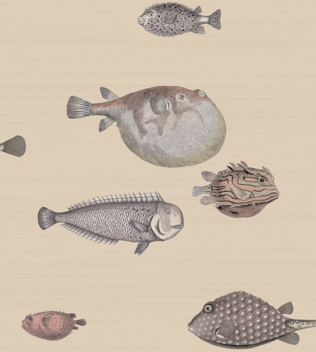 114/16033 - Acquario Wallpaper - Taupe - Cole & Son