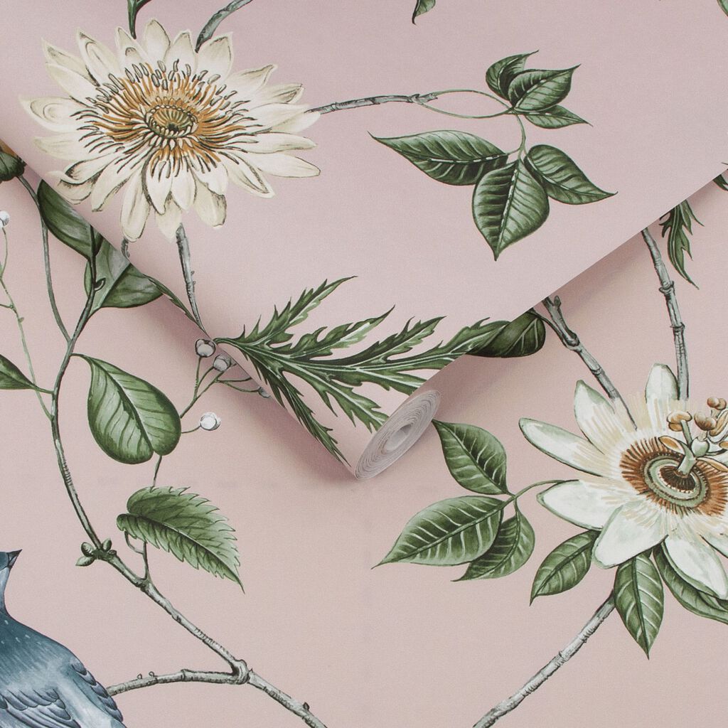 115045 - Nuit Wallpaper - Blush - Graham & Brown