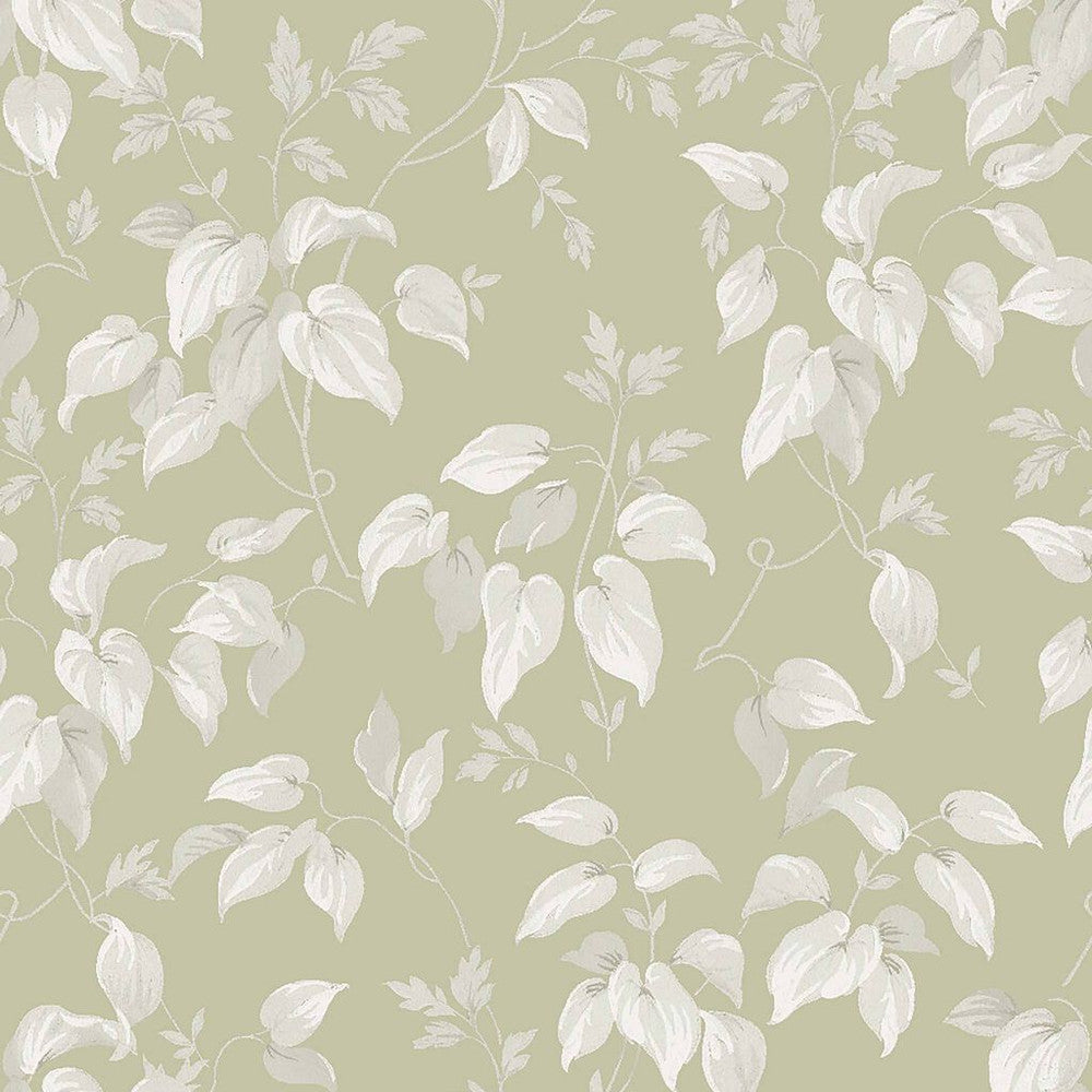 118259 - Trail Flower Wallpaper - Green - Next