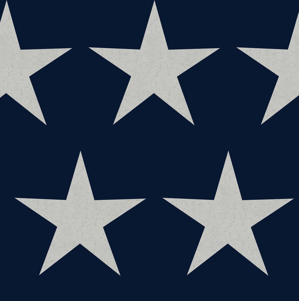 118330 - Stars Wallpaper - Navy Blue - Next