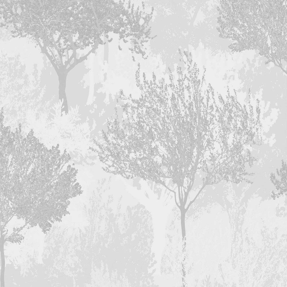 118705 - Birch Wallpaper - Silver - Superfresco Easy