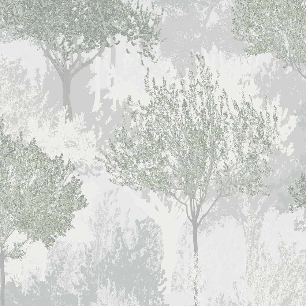 119560 - Birch Wallpaper - Sage - Superfresco Easy