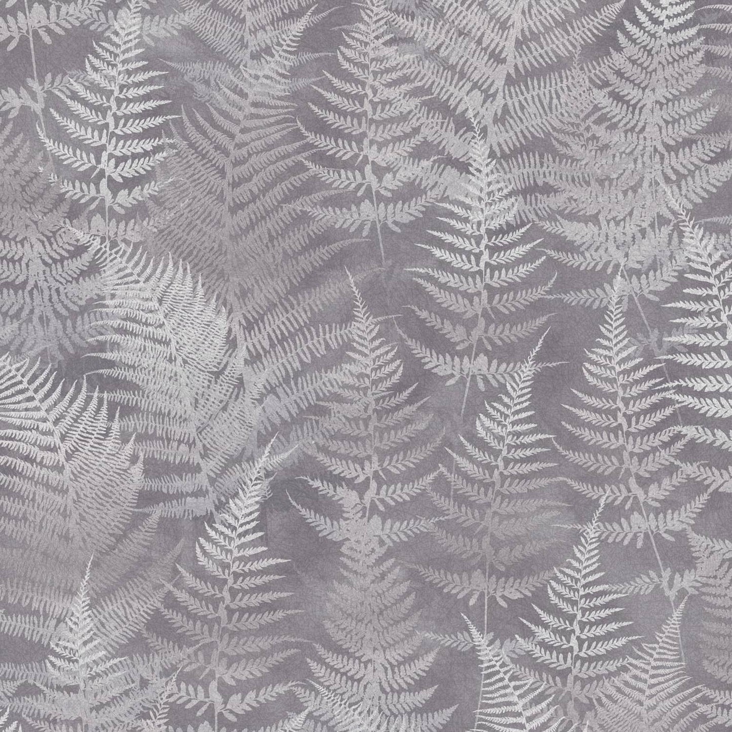 120368 - Woodland Fern Wallpaper - Pewter - Clarissa Hulse