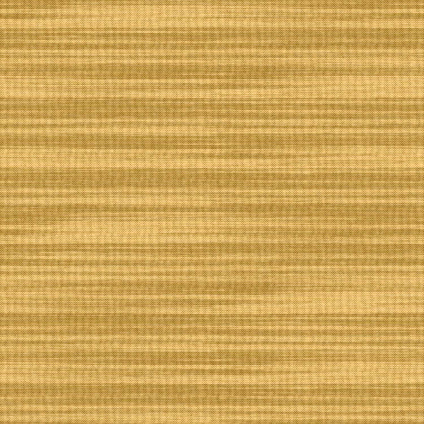 120891 - Stitch Please Wallpaper - Saffron - Envy