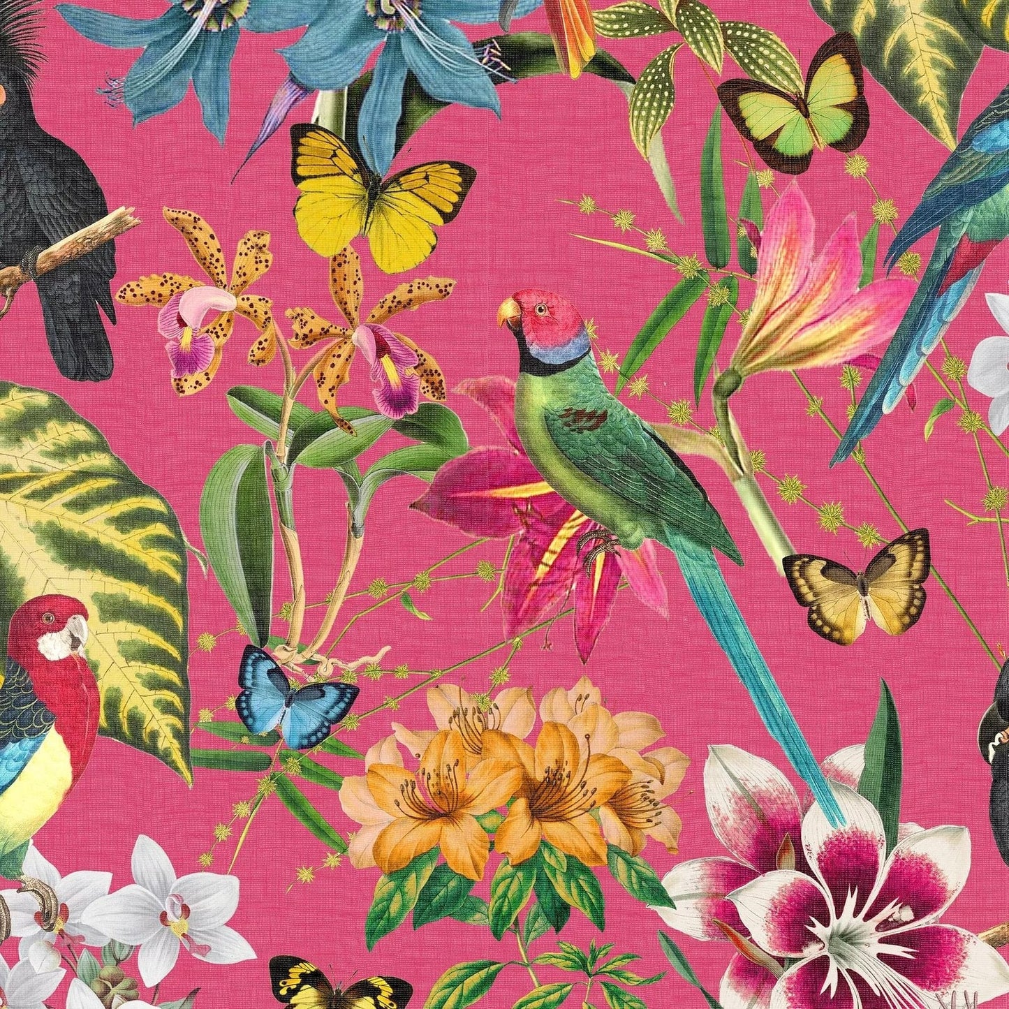 122353 - Paradiso Wallpaper - Hot Pink - Envy
