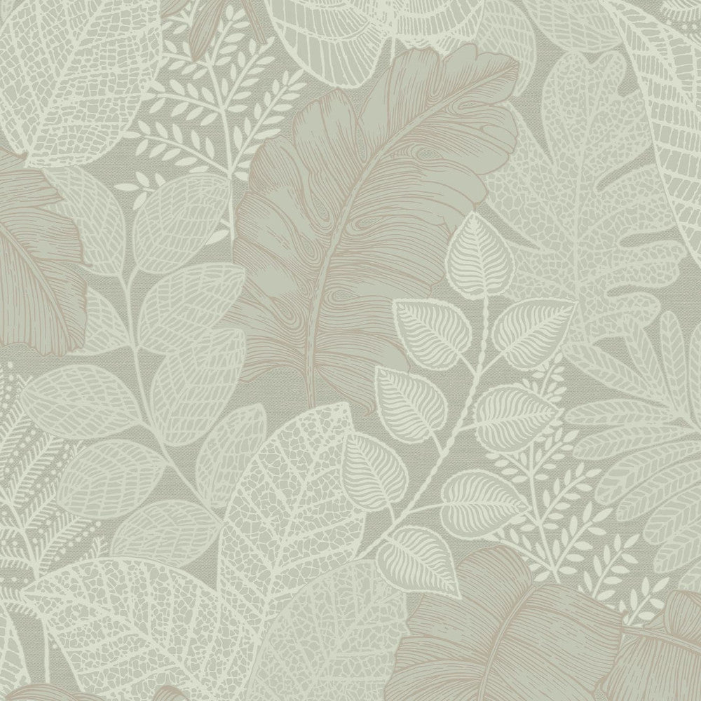 122424 - Scattered Leaves Wallpaper - Sage Green - Superfresco Easy