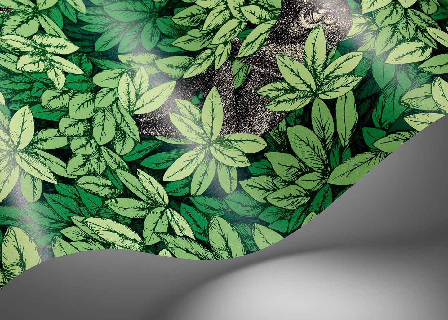 123/10049 - Foglie e Scimmie Wallpaper - Forest Green - Cole & Son