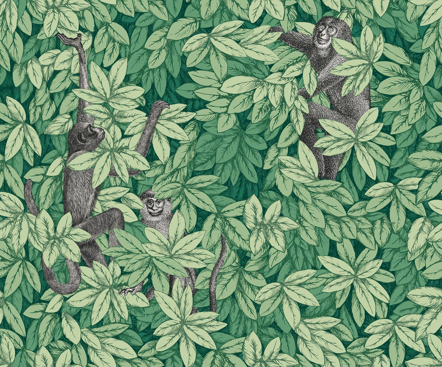 123/10049 - Foglie e Scimmie Wallpaper - Forest Green - Cole & Son