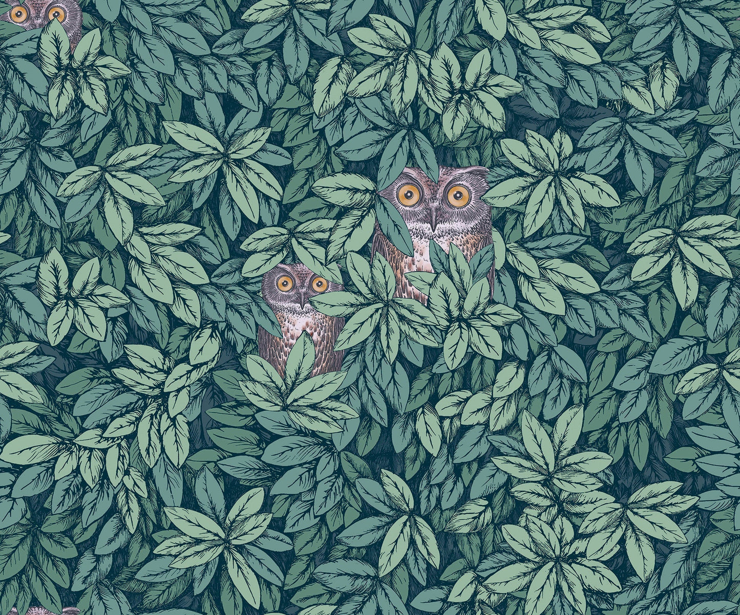 123/11051 - Foglie e Civette Wallpaper - Viridian - Cole & Son